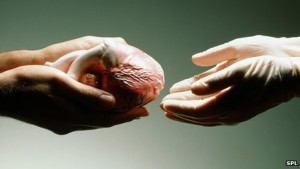 68575776_heart_donation_spl-300x169