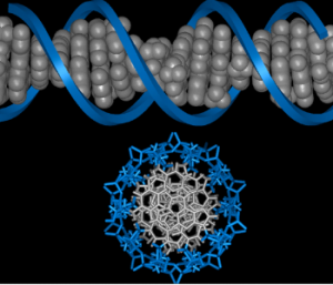 PROTEOME 1