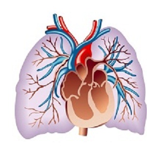 pulmonary_hypertension