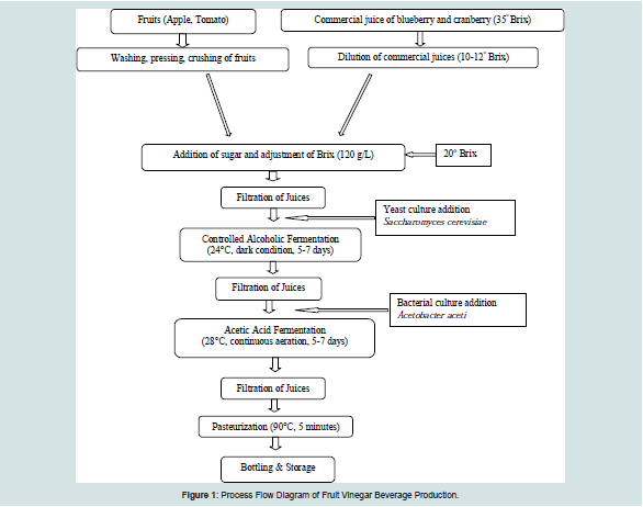 Vinegar Production Flow Chart