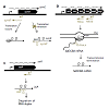 JGT-02-0001thumbfig1