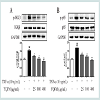 JPCB-01-0003-thumbfig5