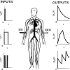 JPP-03-0015-thumbfig1