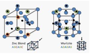 jbn-2475-224x-01-0006-fig